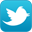 Twitter Logo