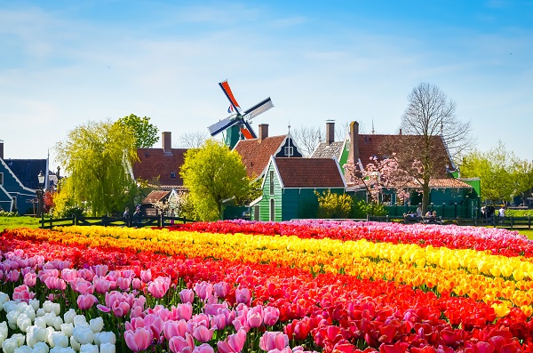 Travel - Holland
