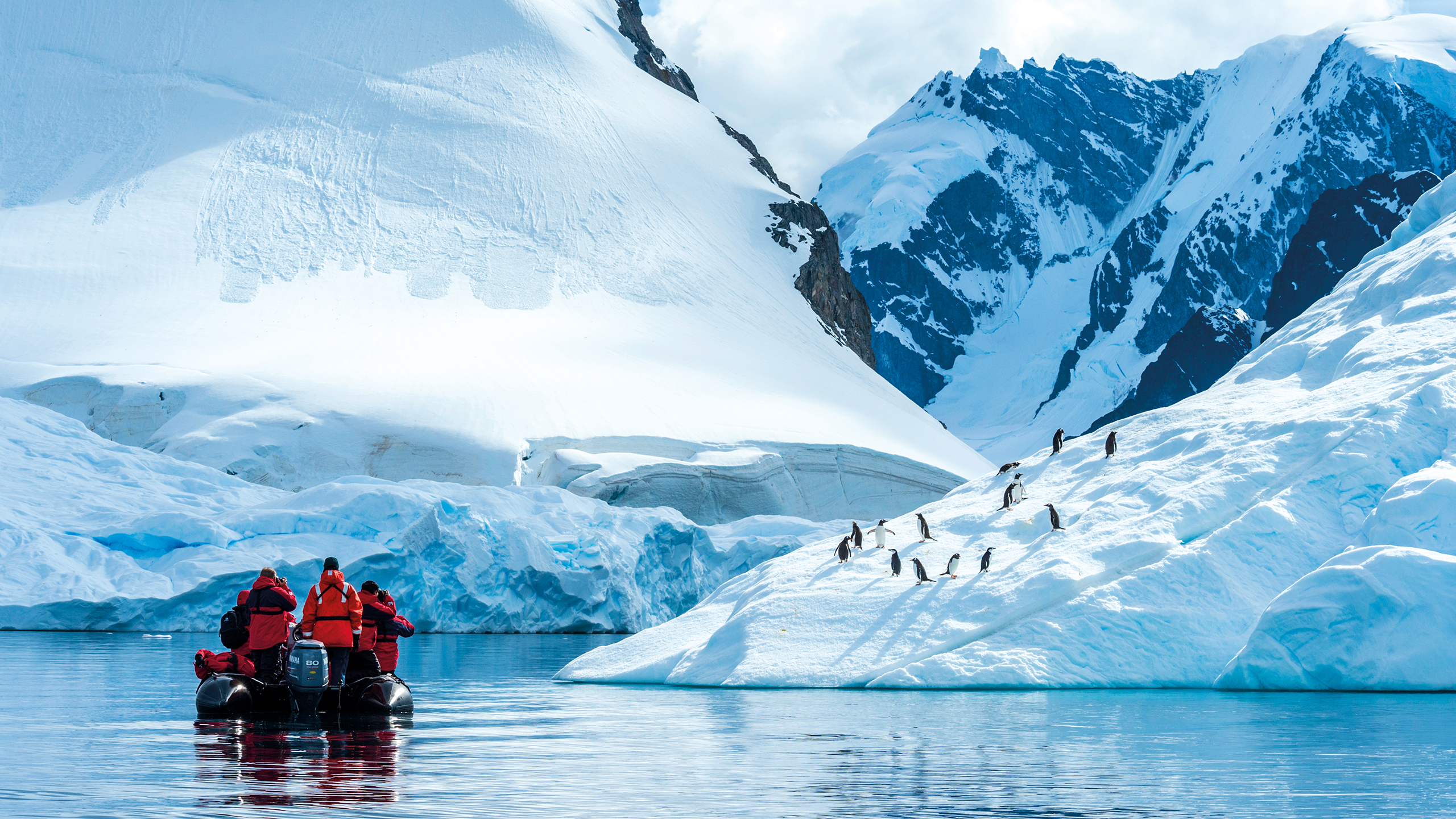 Expedition to Antarctica