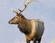 National Parks & Lodges of the West
